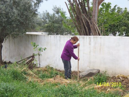 Name:  omr.dikim01.jpg
Views: 1211
Size:  58.8 KB