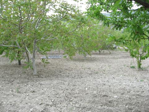 Name:  genel g.JPG
Views: 1736
Size:  54.5 KB