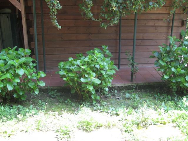 Name:  IMG_1927.jpg
Views: 708
Size:  54.5 KB