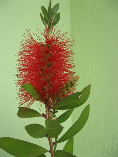 Name:  Resim 007.jpg
Views: 1848
Size:  35.1 KB
