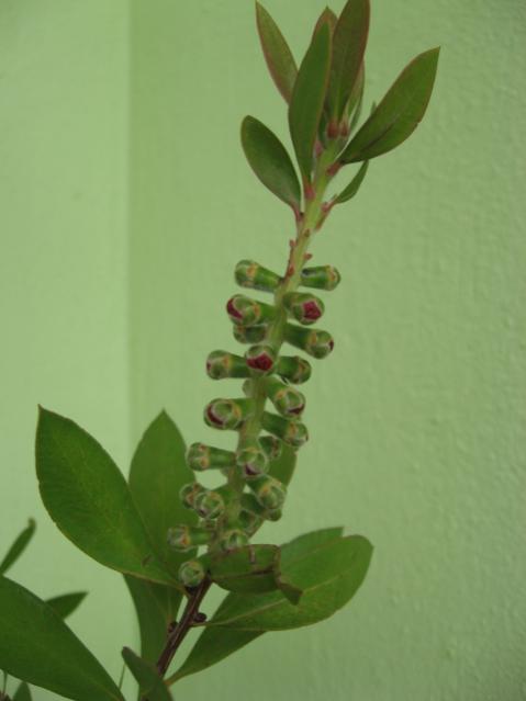 Name:  Resim 008.jpg
Views: 1835
Size:  22.1 KB