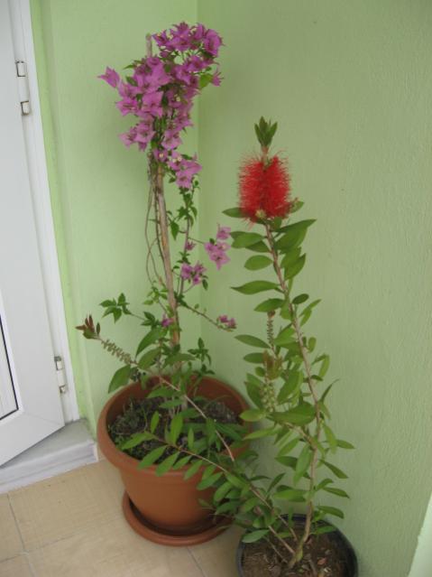 Name:  Resim 010.jpg
Views: 1919
Size:  31.5 KB