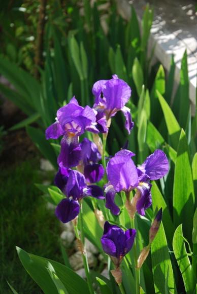 Name:  DSC_0666.jpg
Views: 2257
Size:  35.1 KB