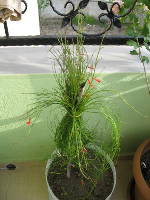Name:  Resim 019.jpg
Views: 1760
Size:  47.8 KB