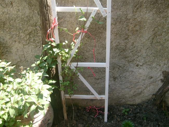 Name:  S6307002.jpg
Views: 776
Size:  64.2 KB