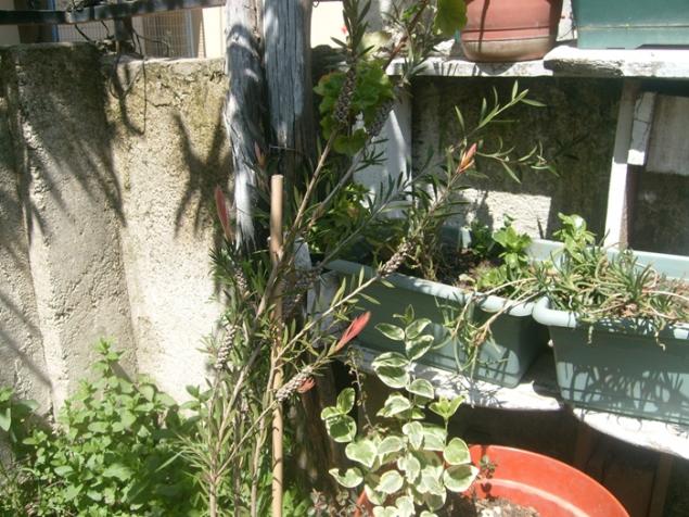 Name:  S6307006.jpg
Views: 774
Size:  71.0 KB