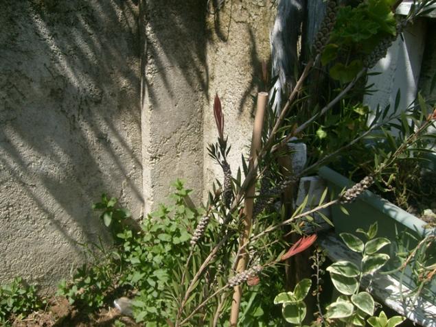 Name:  S6307009.jpg
Views: 779
Size:  70.7 KB
