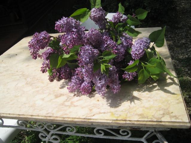 Name:  IMG_1945.jpg
Views: 844
Size:  52.8 KB