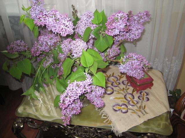 Name:  IMG_1952.jpg
Views: 872
Size:  54.1 KB