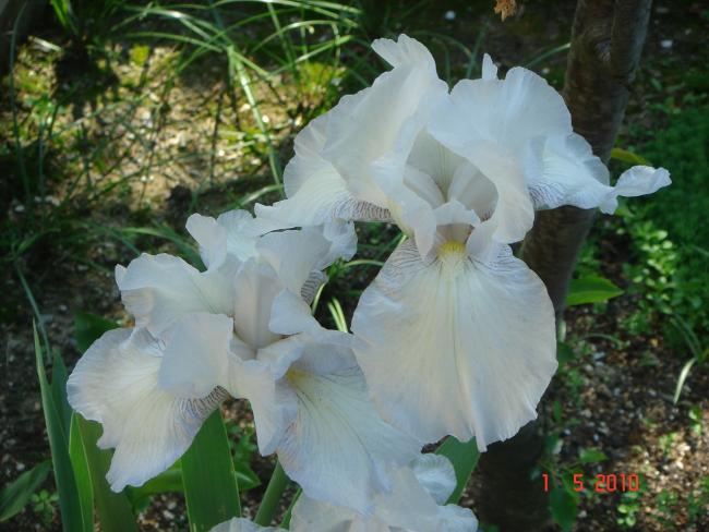 Name:  RS 2.jpg
Views: 1063
Size:  47.9 KB