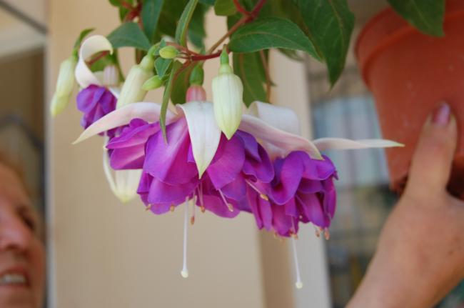 Name:  DSC_0238.jpg
Views: 918
Size:  25.3 KB
