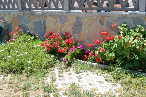 Name:  DSC_0226.jpg
Views: 1070
Size:  70.2 KB