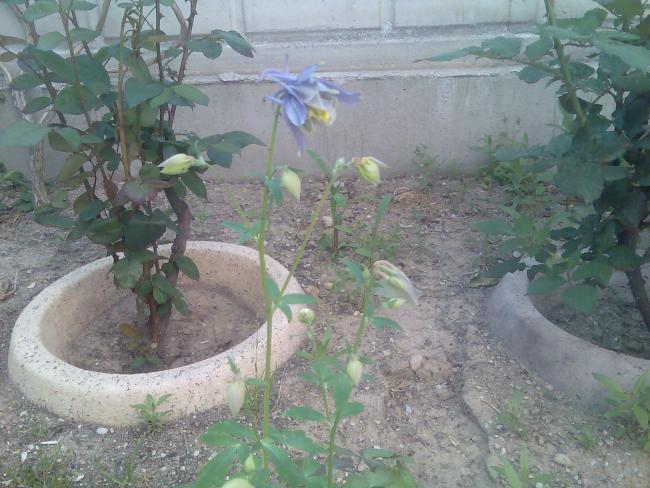 Name:  Grnt284.jpg
Views: 760
Size:  55.8 KB