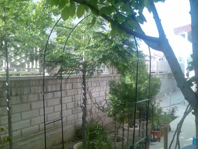 Name:  Grnt285.jpg
Views: 725
Size:  68.4 KB