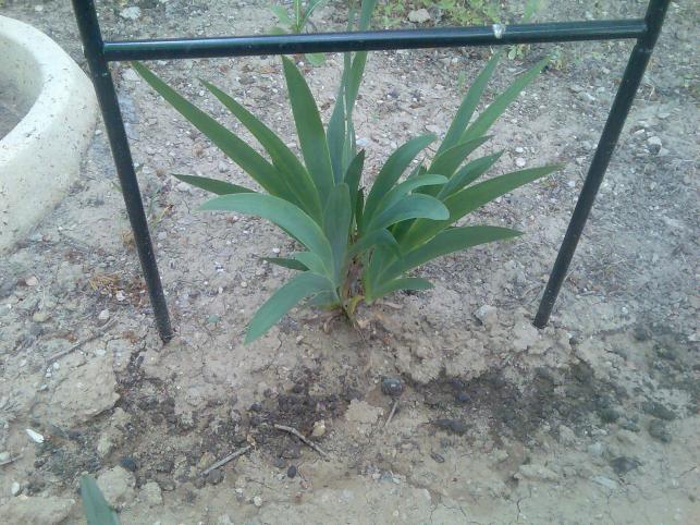 Name:  Grnt286.jpg
Views: 728
Size:  70.6 KB