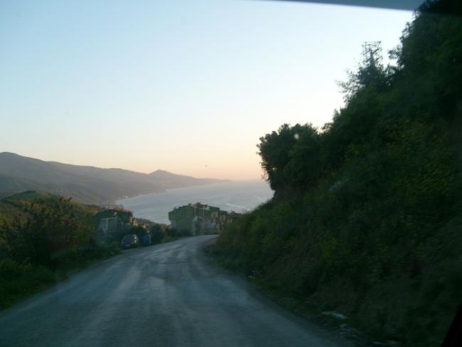 Name:  S6307131.jpg
Views: 777
Size:  22.6 KB