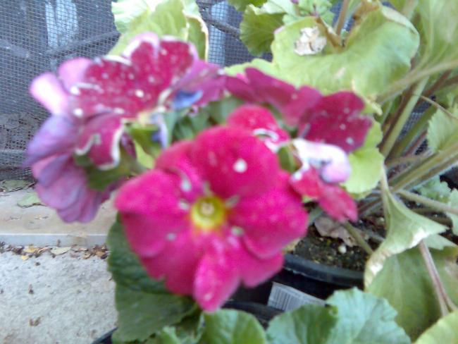 Name:  Grnt302.jpg
Views: 705
Size:  45.9 KB