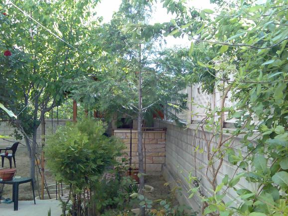 Name:  Grnt308.jpg
Views: 714
Size:  71.5 KB