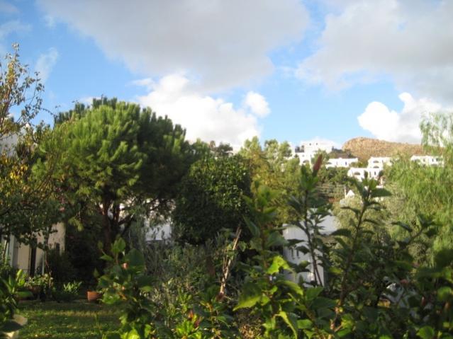 Name:  IMG_1681.jpg
Views: 1016
Size:  49.4 KB
