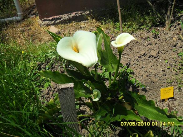 Name:  Resim 467.jpg
Views: 826
Size:  71.1 KB