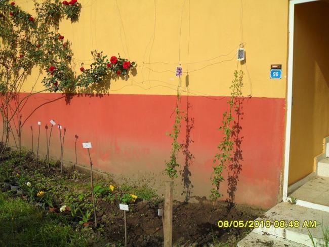 Name:  Resim 497.jpg
Views: 756
Size:  54.8 KB