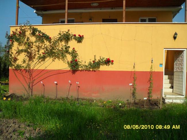 Name:  Resim 498.jpg
Views: 756
Size:  58.3 KB