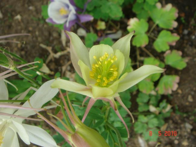 Name:  DSC09872.jpg
Views: 569
Size:  40.9 KB