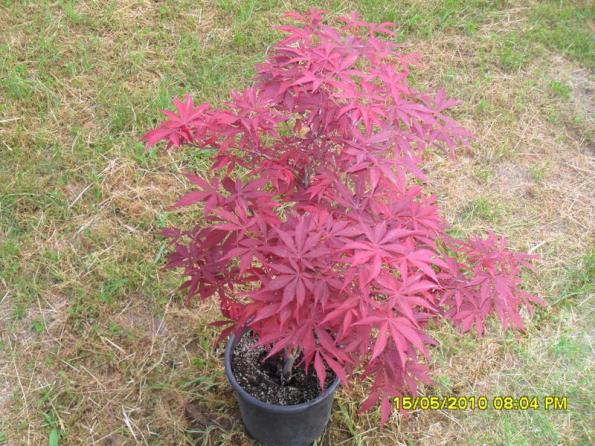 Name:  Resim 578.jpg
Views: 993
Size:  71.2 KB