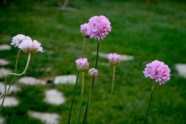 Name:  IMG_6721.JPG
Views: 1060
Size:  54.2 KB