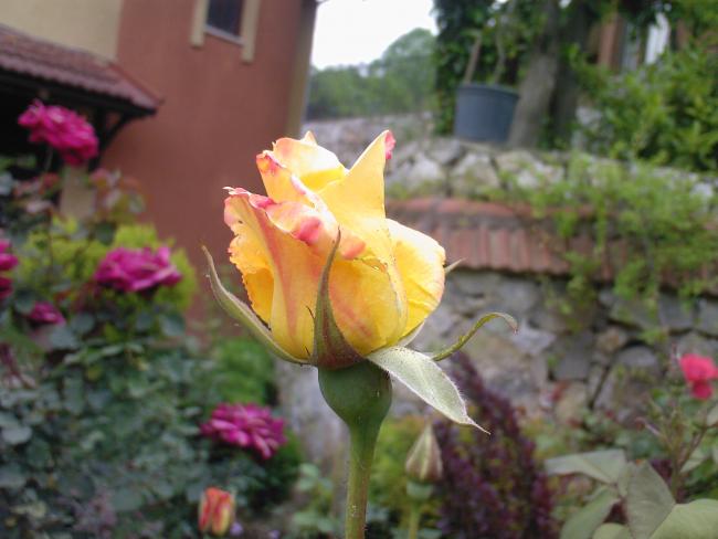 Name:  F 82.jpg
Views: 909
Size:  38.6 KB