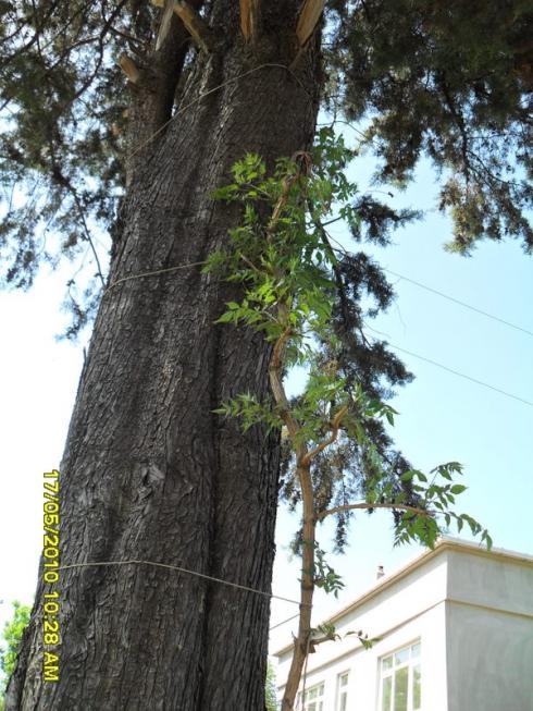 Name:  Resim 683.jpg
Views: 877
Size:  70.9 KB