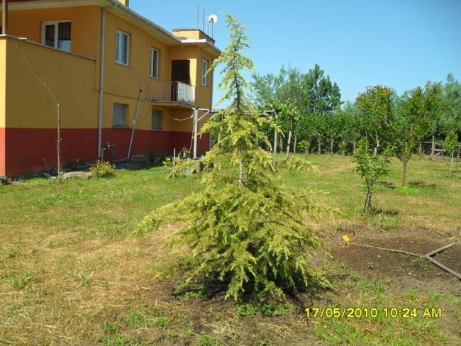 Name:  Resim 668.jpg
Views: 840
Size:  67.4 KB