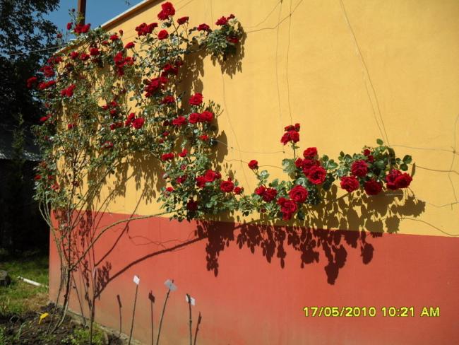 Name:  Resim 661.jpg
Views: 928
Size:  60.4 KB