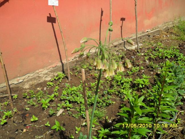 Name:  Resim 651.jpg
Views: 882
Size:  69.2 KB