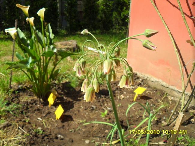 Name:  Resim 656.jpg
Views: 874
Size:  60.8 KB