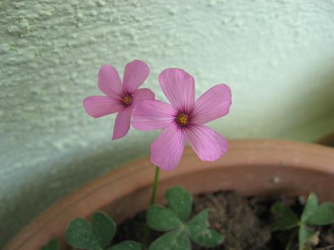 Name:  uyku iei.JPG
Views: 1633
Size:  24.3 KB
