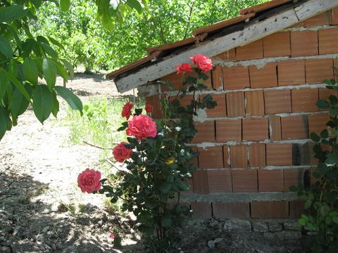 Name:  gl.JPG
Views: 1479
Size:  53.5 KB