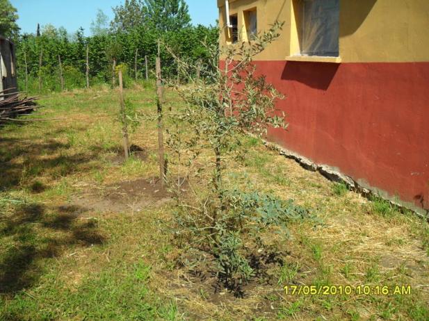 Name:  Resim 645.jpg
Views: 875
Size:  70.5 KB