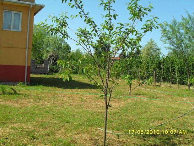 Name:  Resim 629.jpg
Views: 838
Size:  70.7 KB