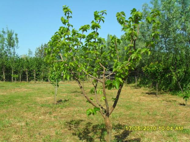 Name:  Resim 622.jpg
Views: 933
Size:  70.8 KB