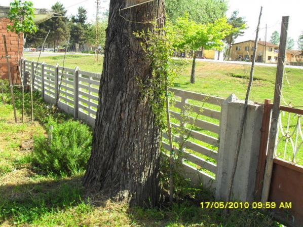 Name:  Resim 610.jpg
Views: 889
Size:  71.3 KB