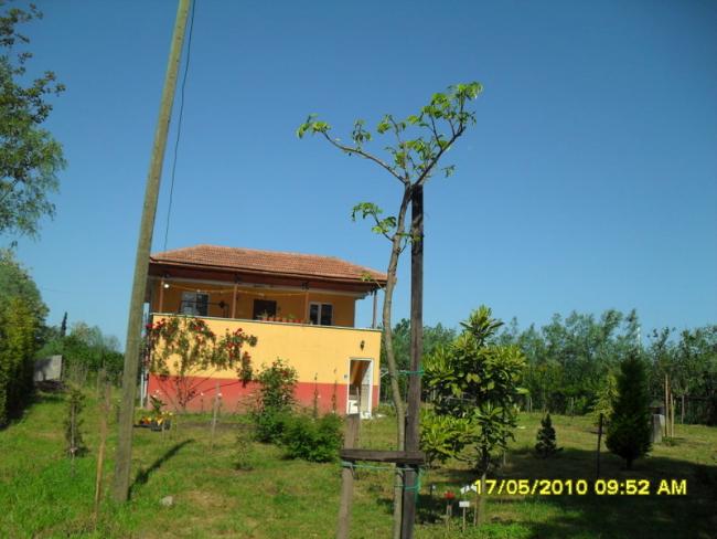 Name:  Resim 596.jpg
Views: 1092
Size:  43.9 KB