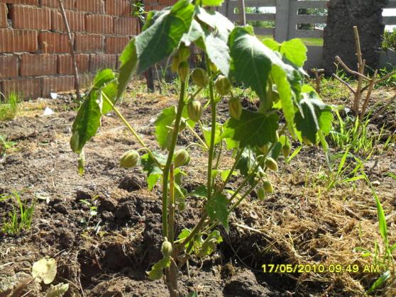 Name:  Resim 589.jpg
Views: 1088
Size:  73.8 KB