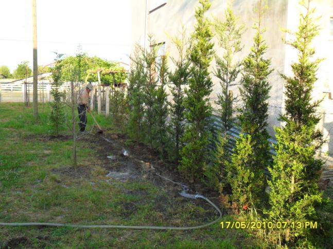 Name:  Resim 702.jpg
Views: 1061
Size:  70.2 KB