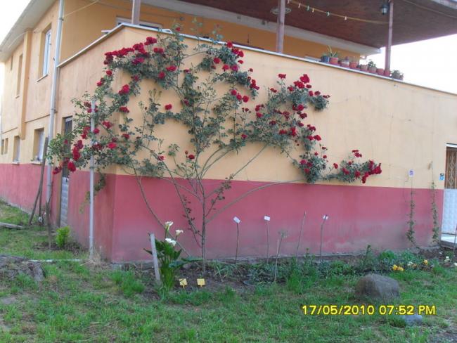 Name:  Resim 704.jpg
Views: 1127
Size:  56.8 KB