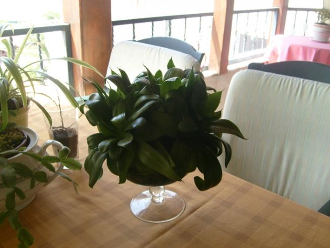 Name:  S6307638.jpg
Views: 862
Size:  38.6 KB