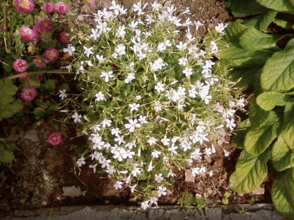 Name:  yeni 031.jpg
Views: 564
Size:  72.3 KB