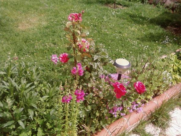 Name:  yeni 033.jpg
Views: 582
Size:  71.7 KB