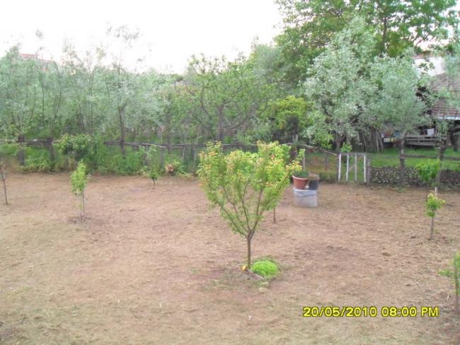 Name:  Resim 726.jpg
Views: 976
Size:  57.8 KB