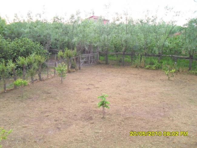 Name:  Resim 731.jpg
Views: 1019
Size:  52.6 KB